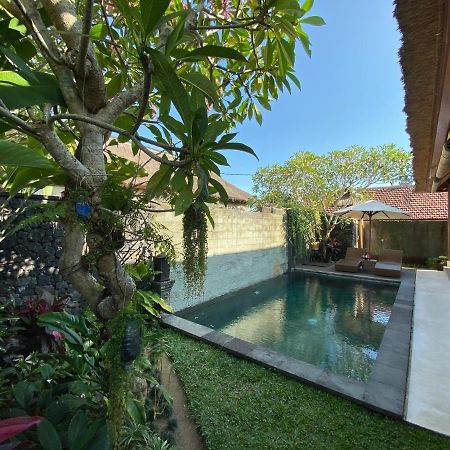 Rumah Dadong Ubud Exteriér fotografie