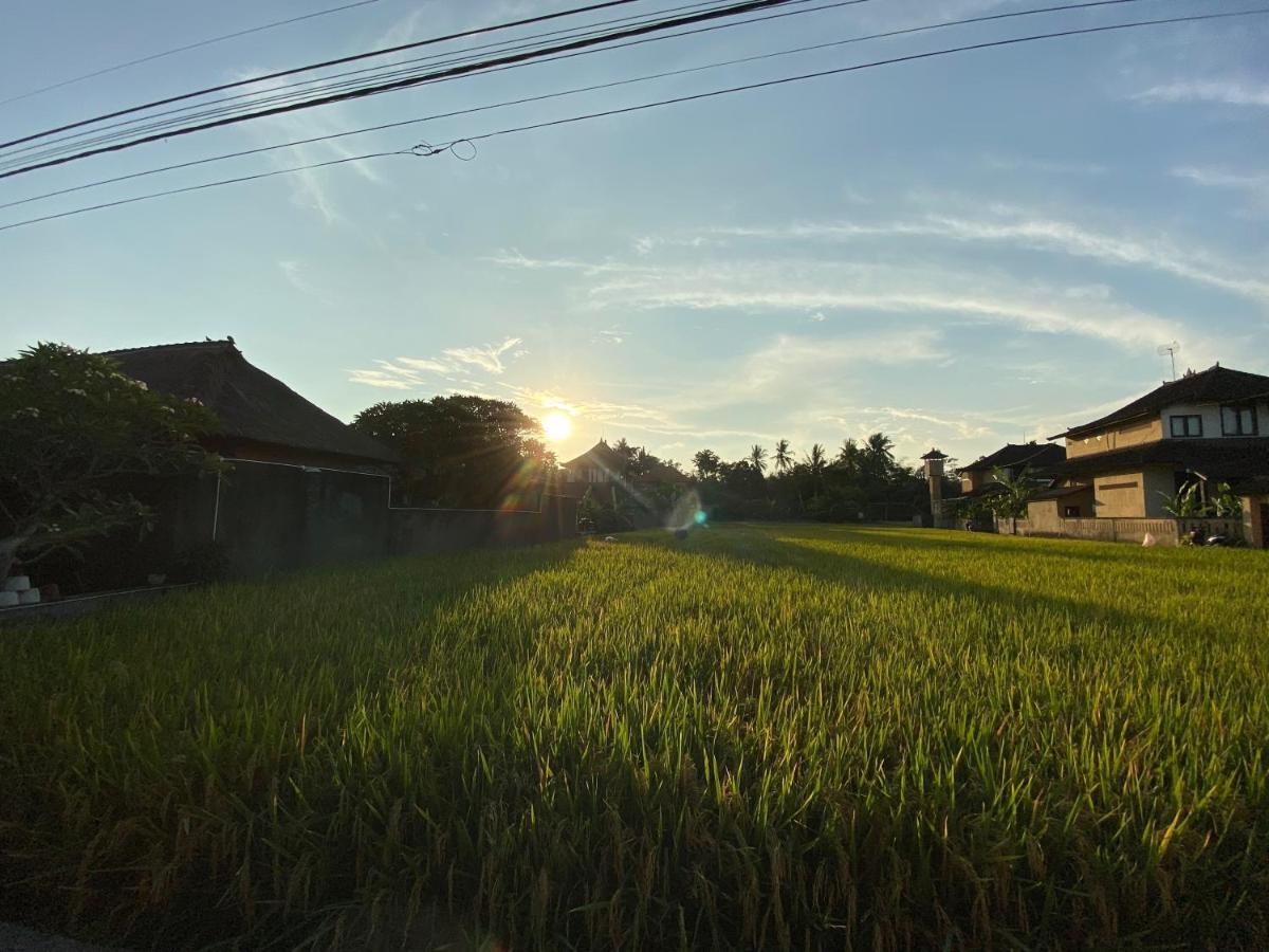 Rumah Dadong Ubud Exteriér fotografie