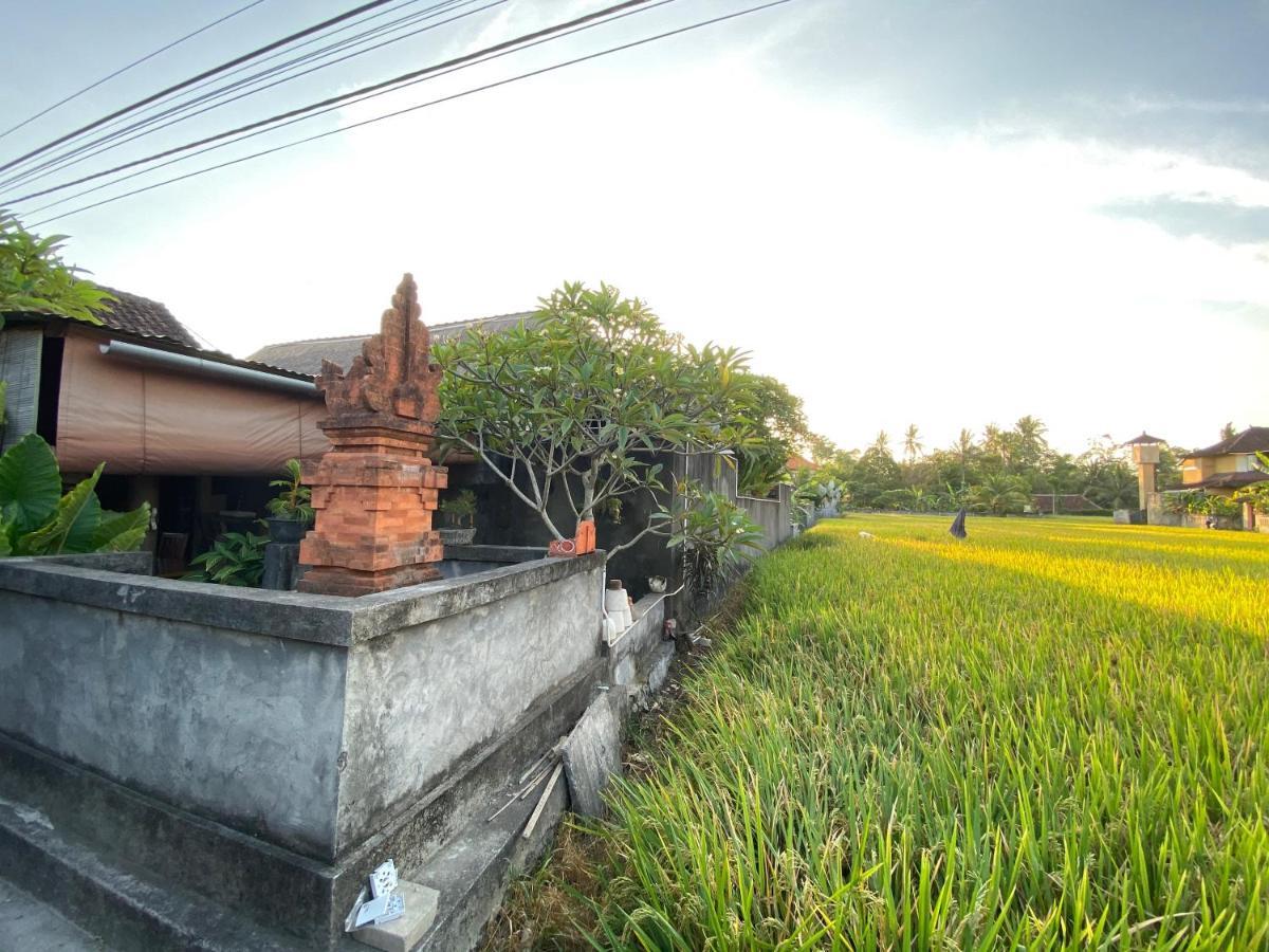 Rumah Dadong Ubud Exteriér fotografie